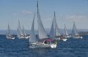 Sailing boats in Croatia