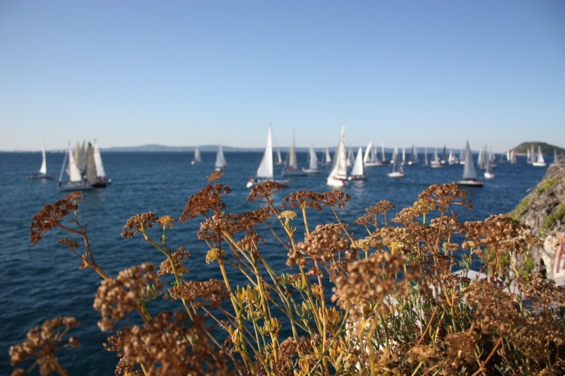 This image has an empty alt attribute; its file name is mrdujskaregsunce.jpg